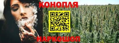 ГАЛЛЮЦИНОГЕННЫЕ ГРИБЫ Кинель