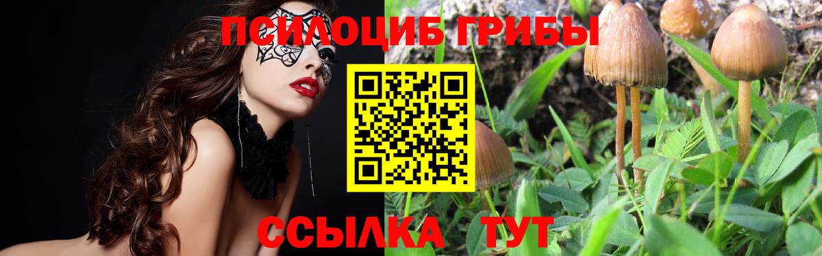 Псилоцибиновые грибы Magic Shrooms Краснотурьинск